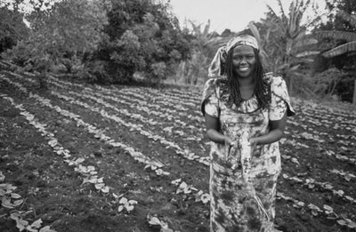 Leading Lady : Wangari Maathai