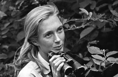 Leading Lady : Jane Goodall