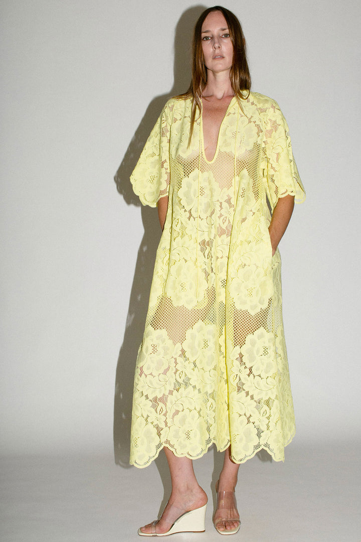 mr larkin lace dress Mr. Larkin