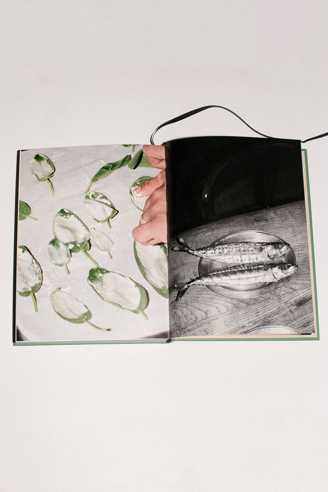 Cafe Cecilia Cookbook