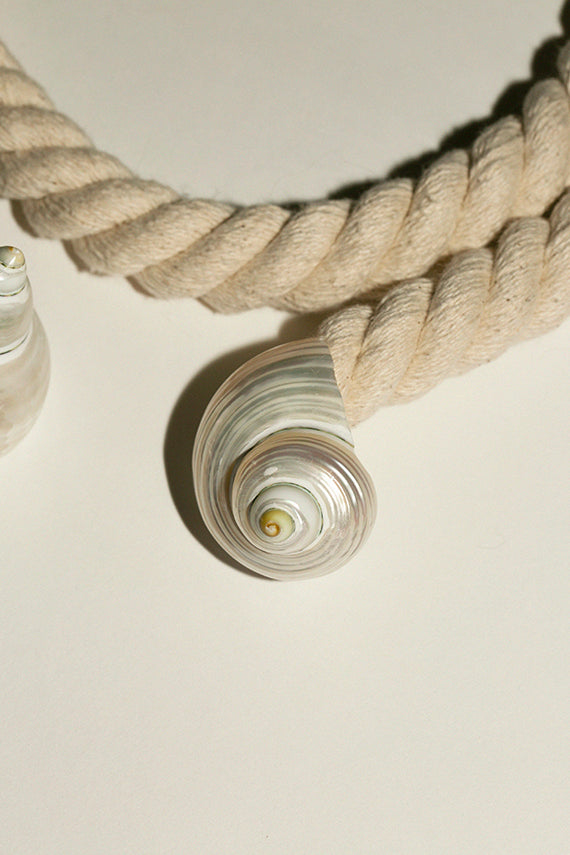 Seashell rope belt Seashell Rope Belt – OMNIA main image 3